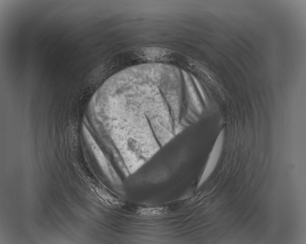 X0000081590461200702121518