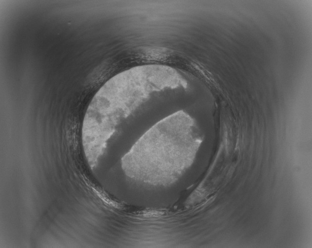 X0000081590462200702121518