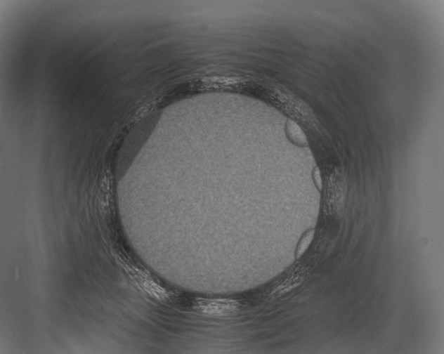 X0000081590463200702121518