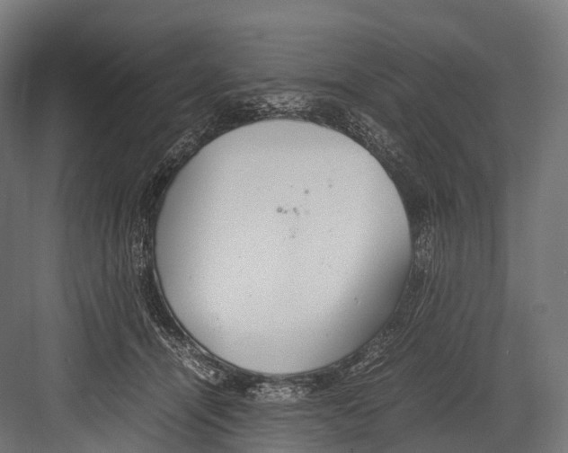 X0000081590464200702121518