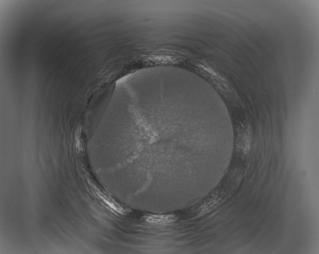 X0000081590465200702121518