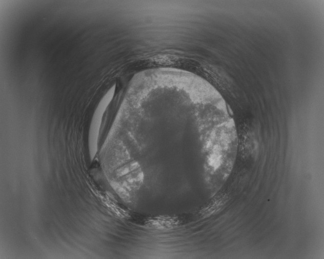 X0000081590466200702121518