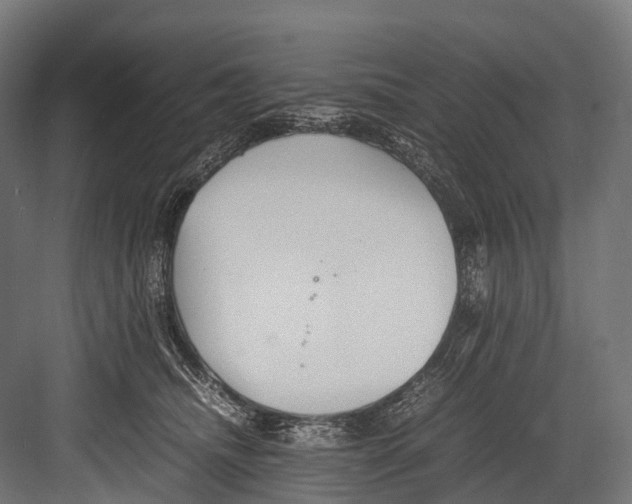 X0000081590468200702121518