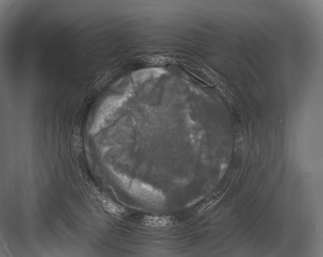 X0000081590469200702121518