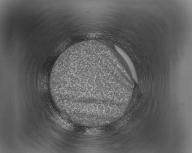 X0000081590470200702121519