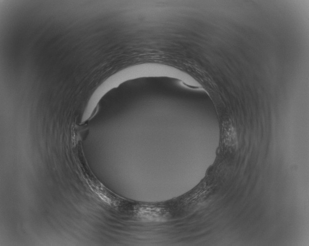 X0000081590471200702121519