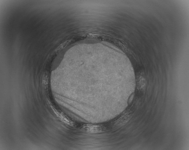 X0000081590472200702121519