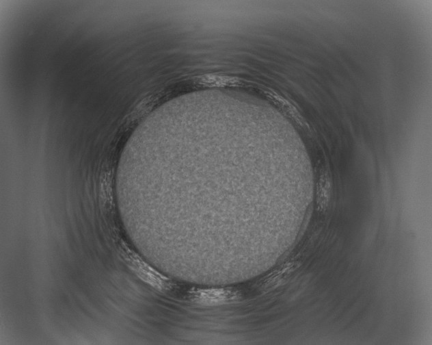 X0000081590473200702121519