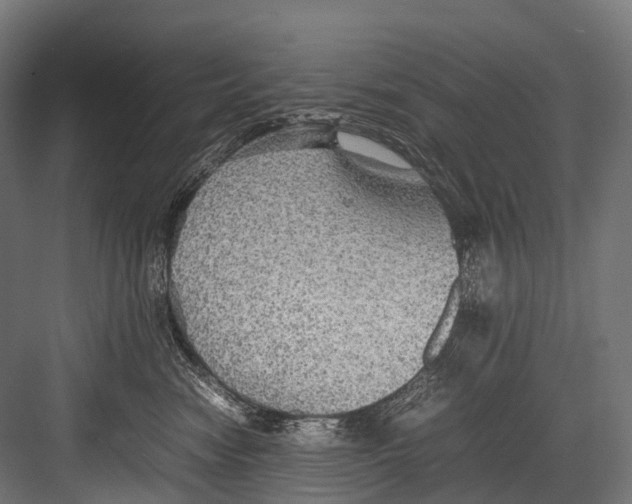 X0000081590474200702121519