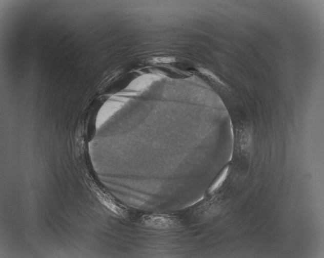 X0000081590475200702121519