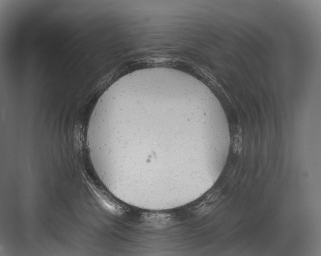 X0000081590476200702121519