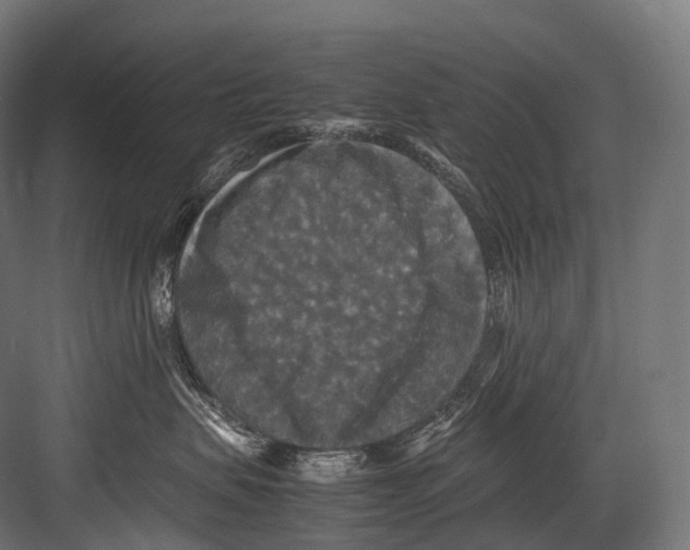 X0000081590479200702121519