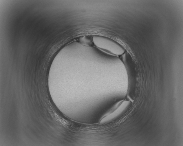 X0000081590481200702121518