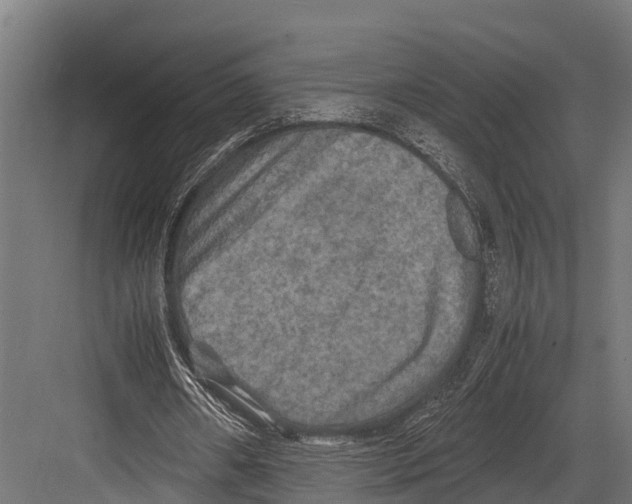 X0000081590482200702121518