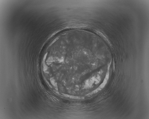 X0000081590483200702121518