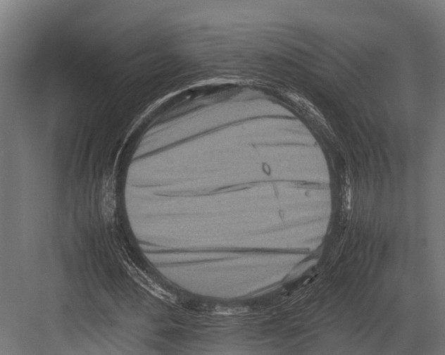 X0000081590484200702121518