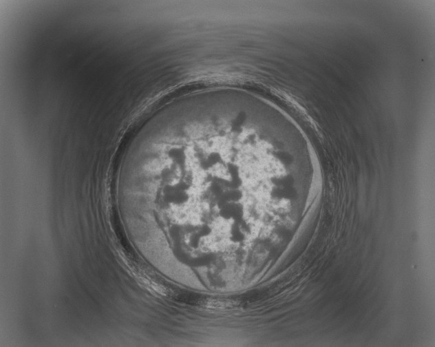 X0000081590487200702121518