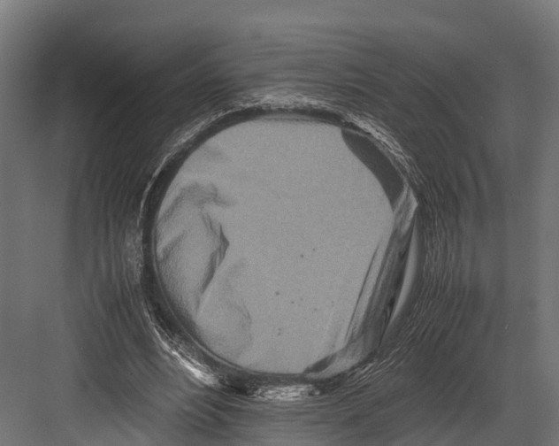 X0000081590488200702121518