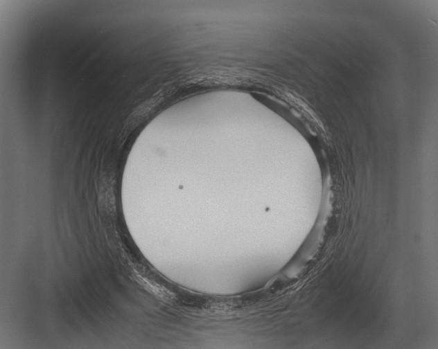 X0000081590489200702121518