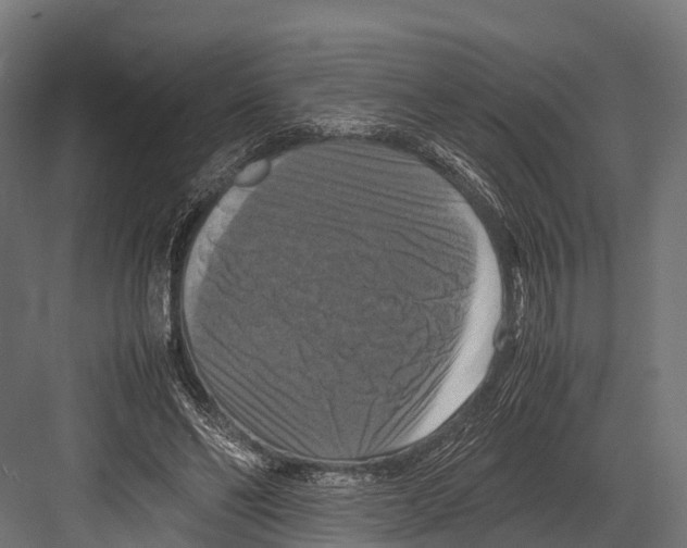 X0000081590494200702121518