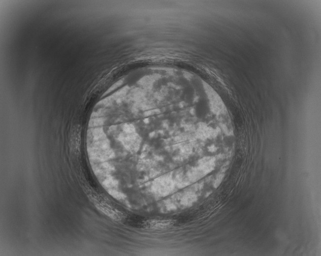 X0000081590495200702121518