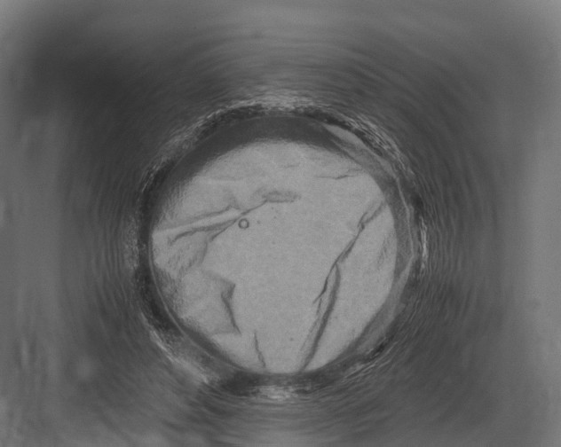 X0000081590496200702121518