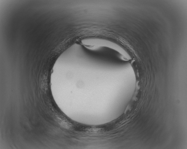 X0000081590497200702121518