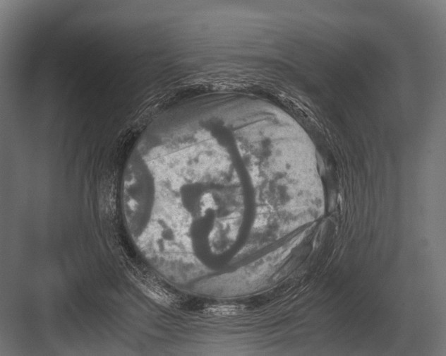 X0000081590499200702121518