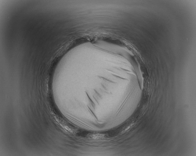 X0000081590501200702121518