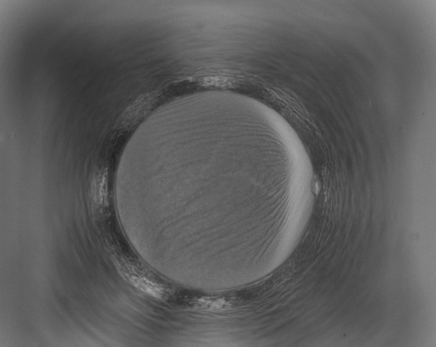 X0000081590502200702121518