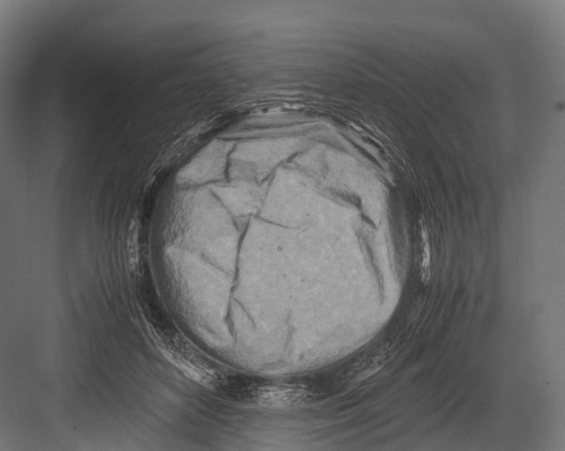 X0000081590504200702121517