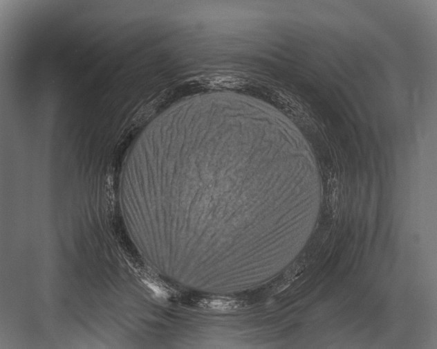 X0000081590506200702121517