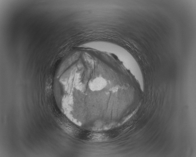 X0000081590507200702121517