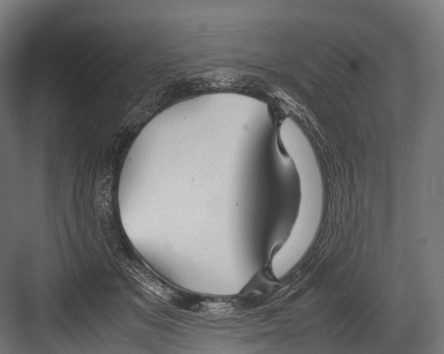 X0000081590509200702121517