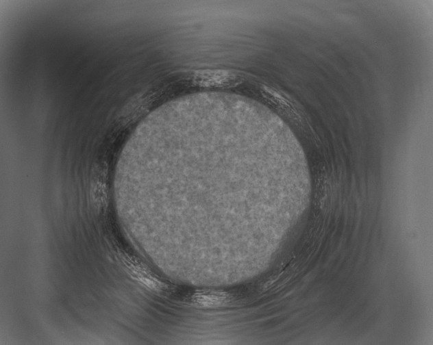 X0000081590510200702121517