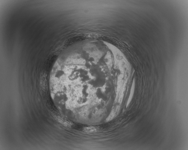 X0000081590511200702121517