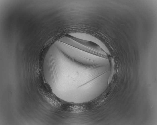 X0000081590512200702121517