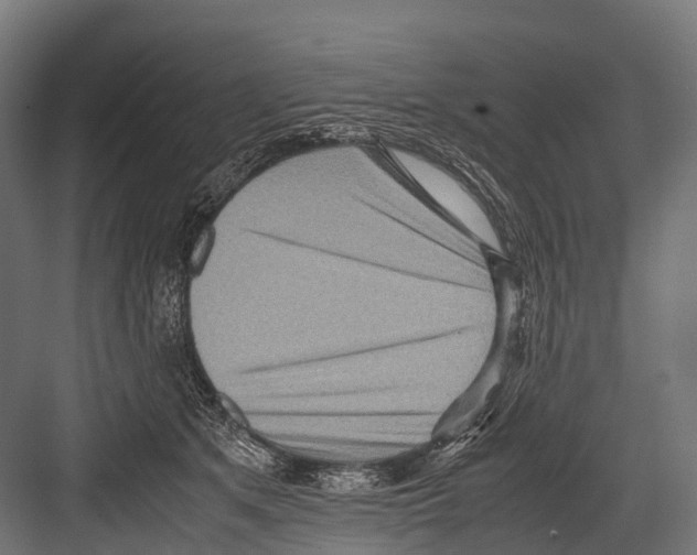 X0000081590513200702121517