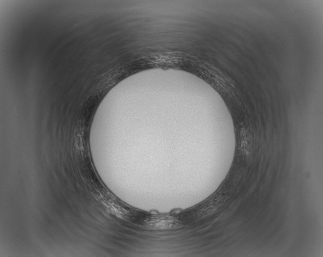 X0000081590514200702121517