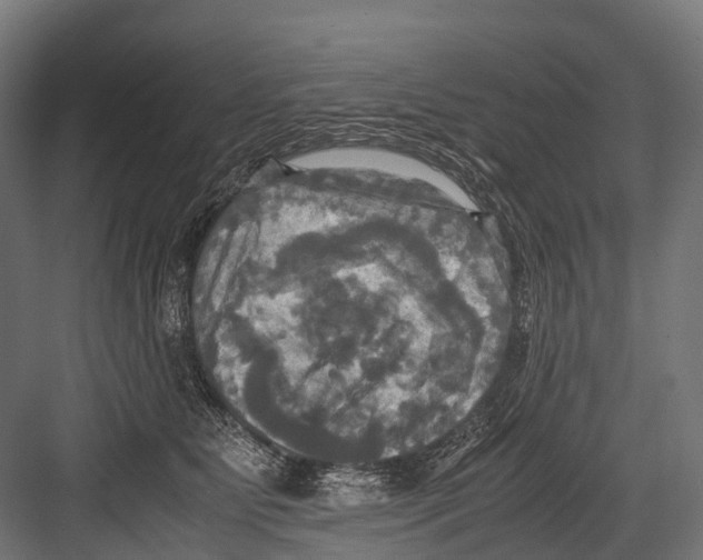 X0000081590515200702121517