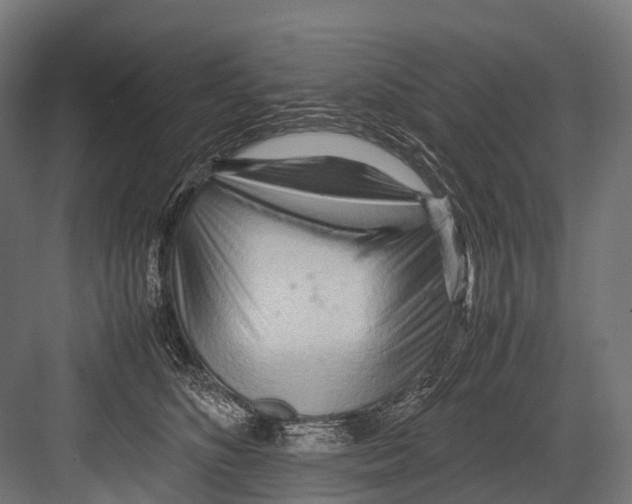 X0000081590516200702121517