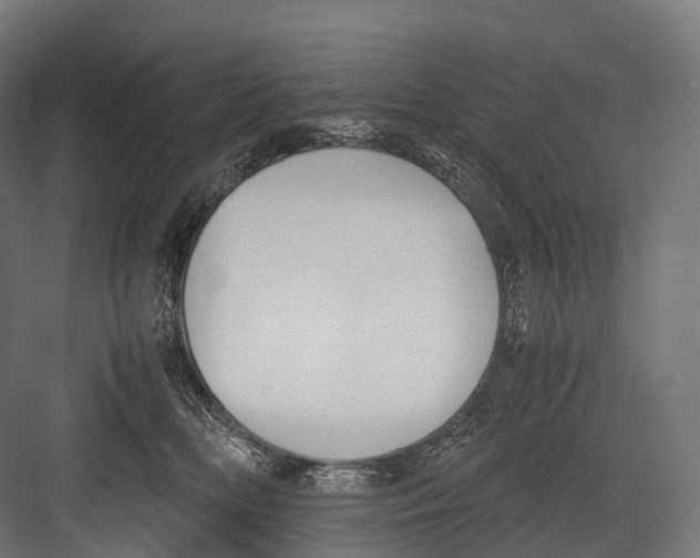 X0000081590518200702121517