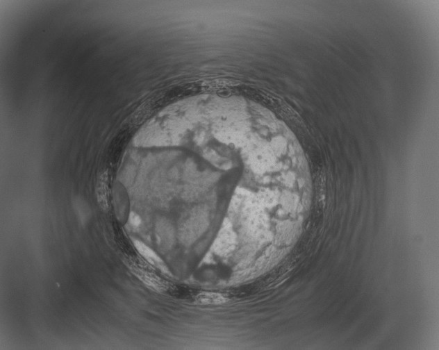 X0000081590519200702121517