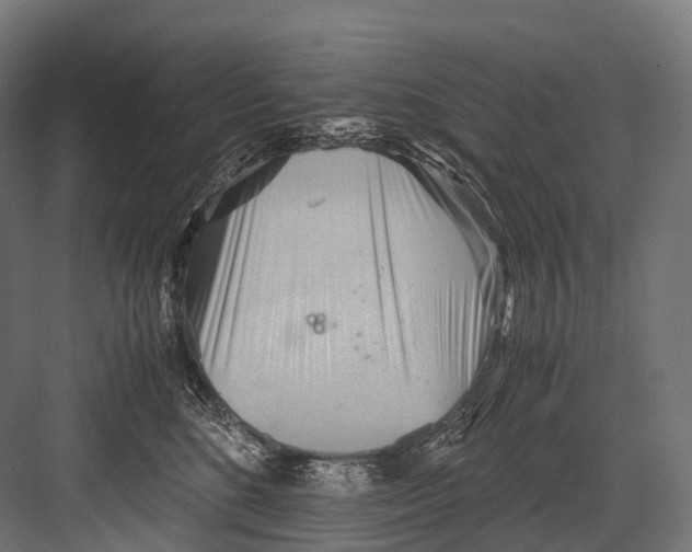 X0000081590520200702121517