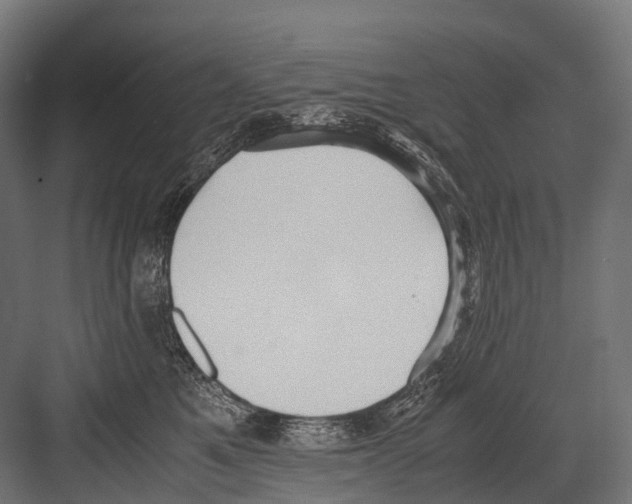 X0000081590521200702121517