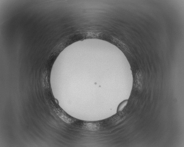 X0000081590522200702121517