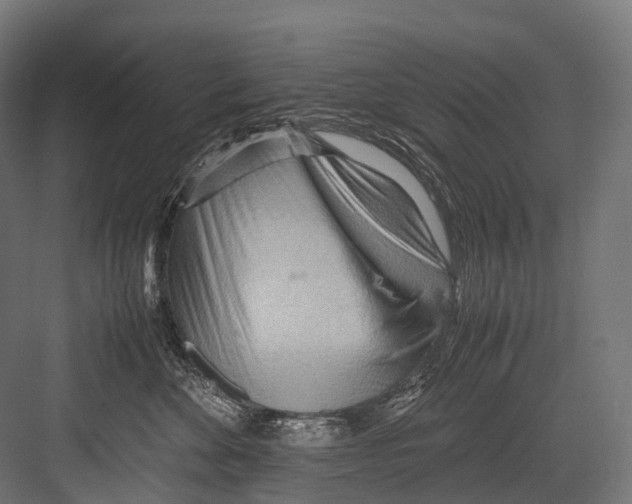 X0000081590524200702121517