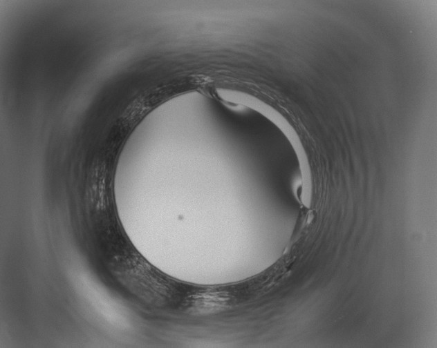 X0000081590525200702121517