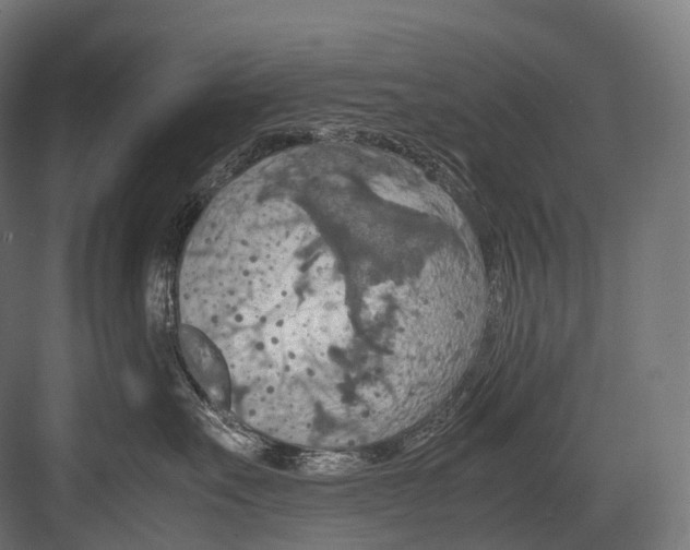 X0000081590527200702121517