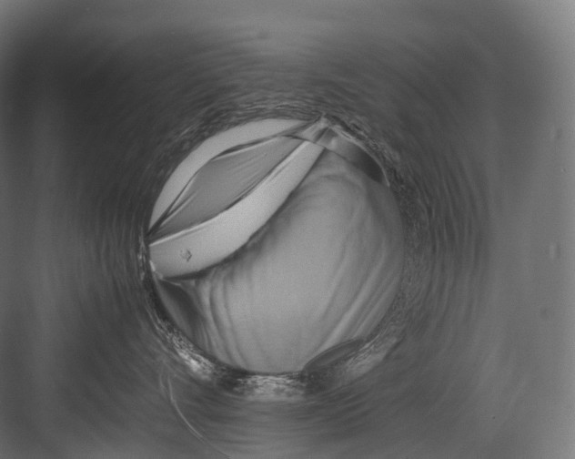 X0000081590528200702121517